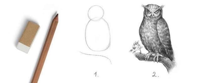 Masterclass como desenhar um mocho